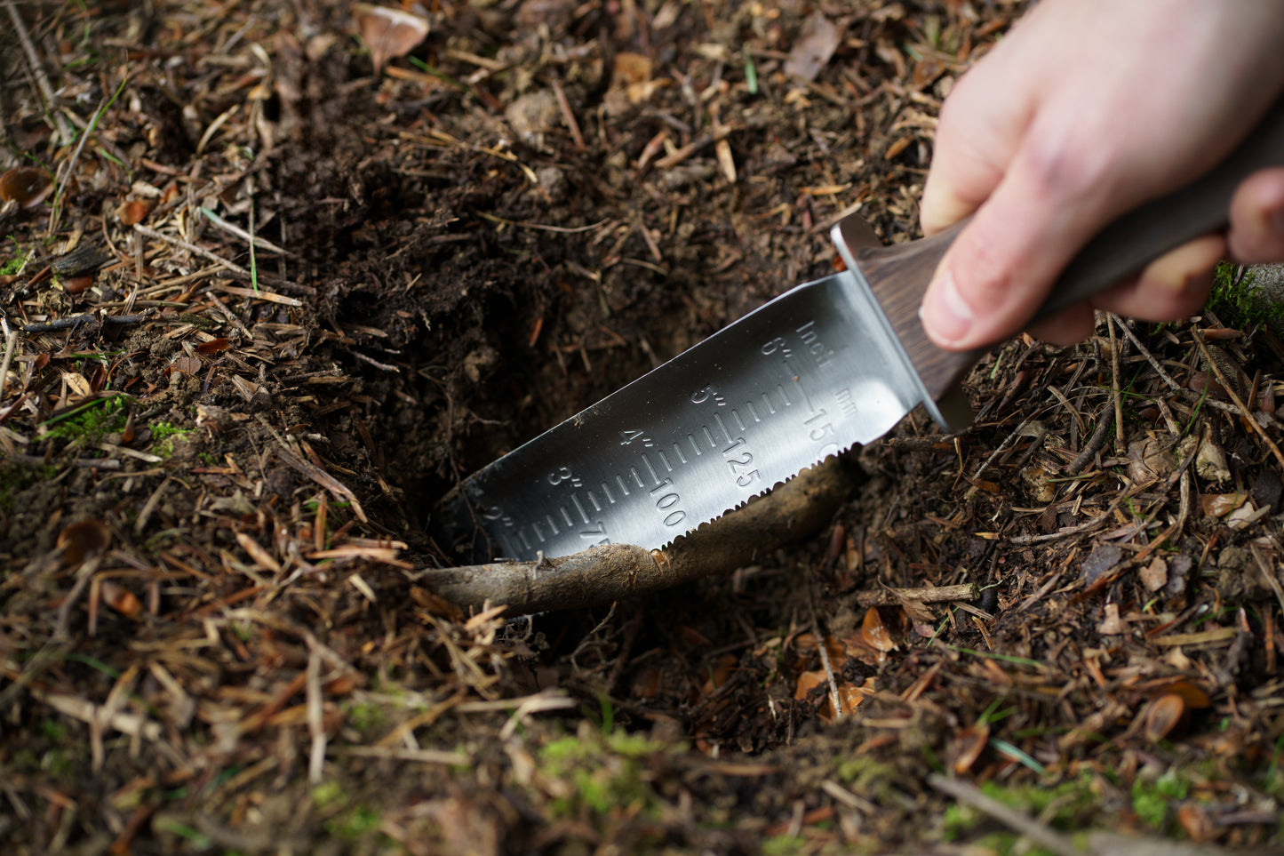 Digger wenge shovel shovel + holster